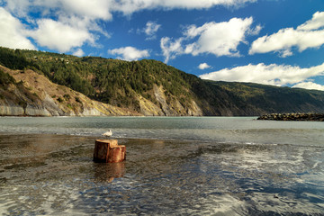 Shelter Cove