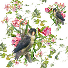 Watercolor painting with birds and flowers, seamless pattern on white background
