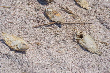 Salton Sea, Southern California 