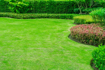 green lawn,garden landscape design