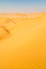in oman old desert   empty  quarter  sand