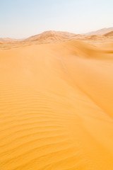 Fototapeta na wymiar in oman old desert rub al khali the
