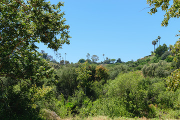 Walking up and out of canyon in Southern California