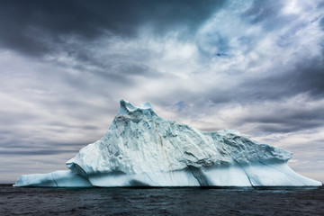 Icebergs Ahead
