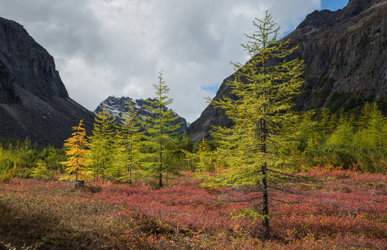 The beginning of autumn in the Kodar Mountains