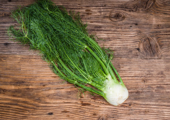 Fennel bulb on a rustic wooden table