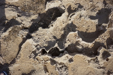 TEXTURE COLLECTION IL 0045