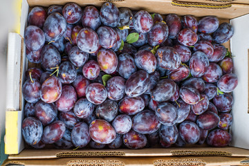 Blue or purple prune plums at the market