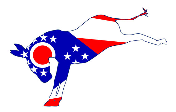 Ohio Democrat Donkey Flag