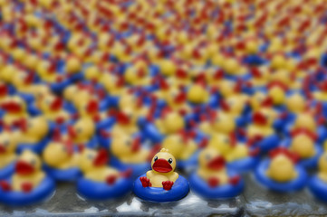 verano chapuzon baño patito pato de hule goma agua 