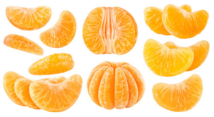 Isolated citrus segments. Collection of tangerine, orange and other citrus fruits peeled segments...
