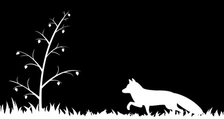 Silhouette of fox in the grass.