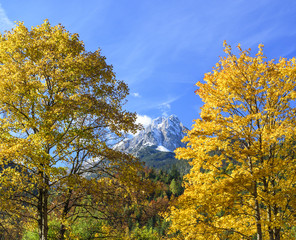 Fototapeta premium goldener Oktober in den bayrischen Alpen