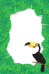 Tropical frame made of banana leaves and toucan with space for text.