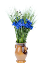 Bouquet of cornflower and green ears in the vintage vase. Blue summer meadow flowers, green barley ears. Cornflowers are beautiful summer events,festivals, greeting decors. Rustic wildflowers bouquet 