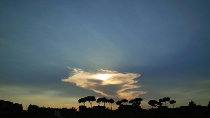 silhouette di alberi e tramonto dietro le nuvole