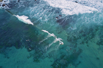 Aerial view of surfers in Bronte Beach