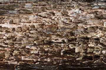 Fototapeta premium old wood texture background