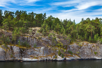 Fototapeta premium Forest covered cliffs of the archipelago in Sweden