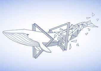 Graphic blue whale