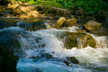Fototapeta premium Forest on the Canyanka waterfall