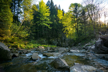 Naklejka premium Forest on the Canyanka waterfall