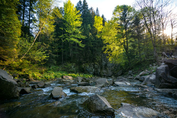 Forest on the Canyanka waterfall