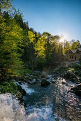 Forest on the Canyanka waterfall