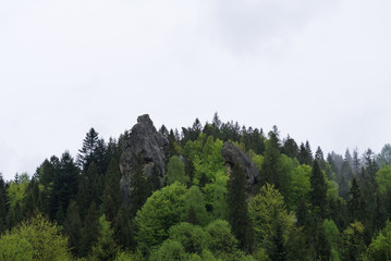 Fortress Urich. Lviv region