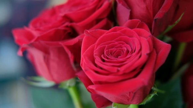 Buds of red roses in bouquet stand indoors. Bright scarlet flowers with velvety petals are collected in beautiful composition created by talented florist. This bouquet is made up of magnificent