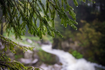 Nature Carpathians in the rain. Near the waterfall Kamyanka