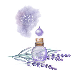 Watercolor lavender oil