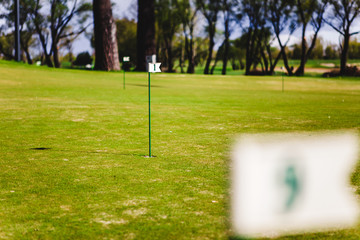 Obraz premium close up of flag mark in hole on golf field