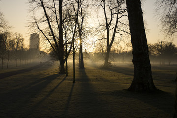 Fototapeta na wymiar Dawn at Hyde Park 