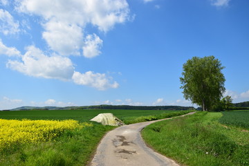 Kalkdünger vor Frühlingsfeldern