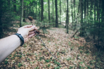 man holding branch with a bump in the hand