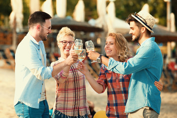 Group of Friends Having Fun on the Beach