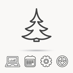 Christmas fir tree icon. Spruce sign. Winter forest symbol. Notebook, Calendar and Cogwheel signs. Download arrow web icon. Vector