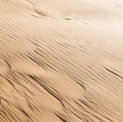 in oman the old desert and the empty quarter abstract  texture line wave