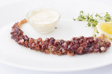 Octopus in white plate, close up, macro at restaurant