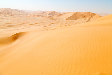 in oman old desert  rub al khali the empty  quarter and outdoor  sand dune