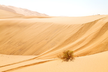 in oman old desert  rub al khali the empty  quarter and outdoor  sand dune