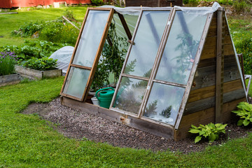 Plants growing in a greenhouse in Filipstad Sweden