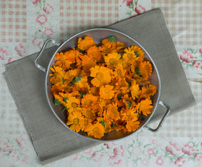 Marigold flowers in a bowl - collecting herbs