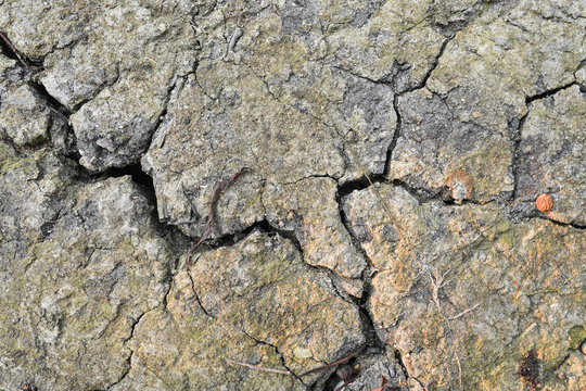 Crack in dirt soil on drought land