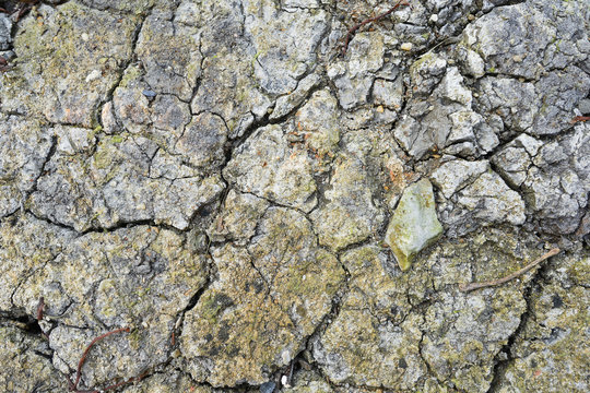 Crack in dirt soil on drought land