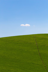 Countryside landscape, green field and blue sky