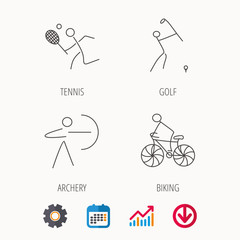 Biking, tennis and golf icons. Archery linear sign. Calendar, Graph chart and Cogwheel signs. Download colored web icon. Vector