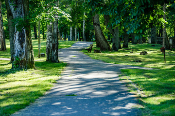 green park with walkways