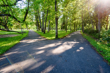 green park with walkways